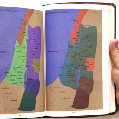 image_07b77cc2-63a4-49e7-8499-e4acebafbfe9