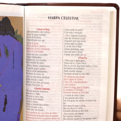 image_e35fede4-b7d0-474d-b9cf-5be52ddbf041