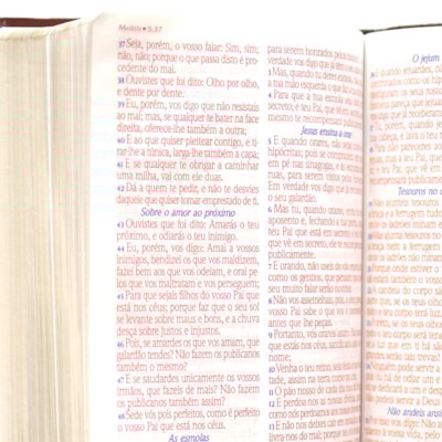 image_8d74472c-8905-46ab-8cfa-cded5b156220