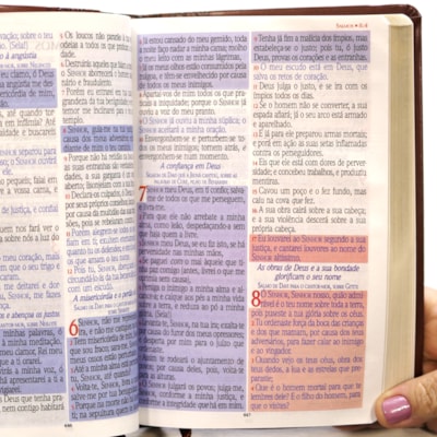 image_241b5238-921d-425f-a202-4bda2de1dca4