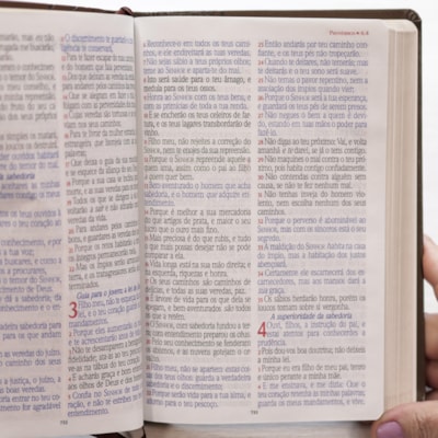 image_302ef71c-45c5-4f47-9cde-354a2291ee3a