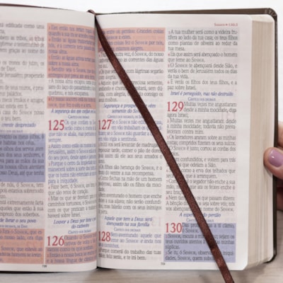 image_e8a9155e-bb4e-44e7-aafd-ed252a6e4610