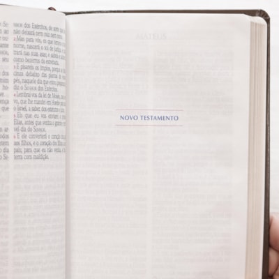 image_860321e7-6c18-4169-b48b-cc00dd9e1888