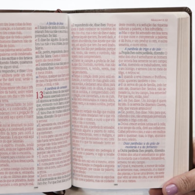 image_9f66ebfd-68b5-47aa-9db4-995e129620be