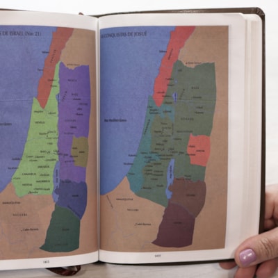 image_230aa51a-bd3e-47b4-8d5b-bf49f7eed5fb