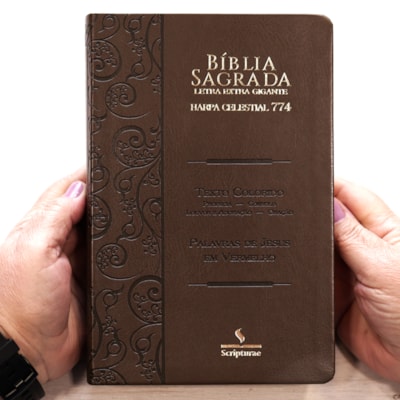 image_3d176de6-fb86-4319-a31d-c606f9d6f6fc