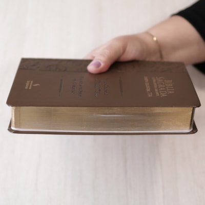 image_5a435f02-6235-4352-87e4-fb2bd76206a7