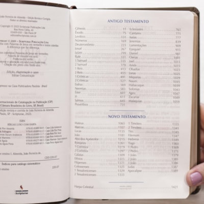 image_783791a8-b571-485c-8a2e-36bc87ae1448