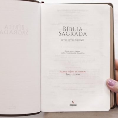 image_44b4a73d-f905-482e-8dfd-6f0acfb77bc1