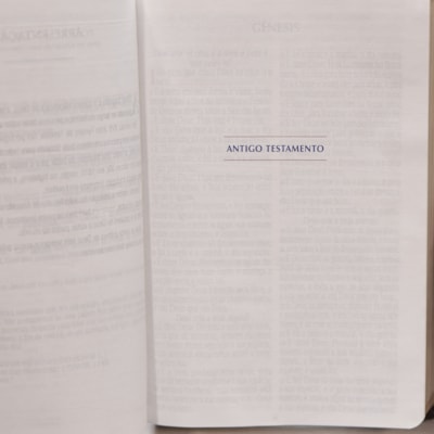 image_3e7751a7-82ad-425b-96f0-f44f81345610