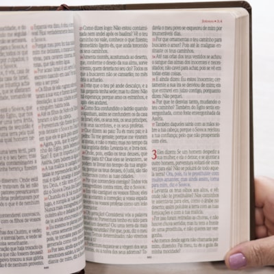 image_ef386d77-b7d6-4b14-a8f2-050024a9838e