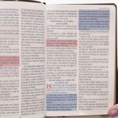 image_763038dd-d885-4630-8ec1-d4d942acf43a