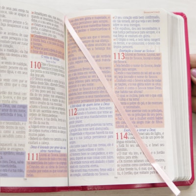 image_98494fd9-2087-4224-9e88-1b7ad0849b7c