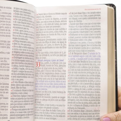 image_a3597369-fc61-44d8-ace9-683fc61e1b60