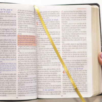 image_0ef0f558-9599-4cf2-a7b1-cb50f55b04be