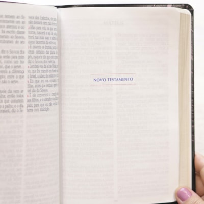 image_a95f4728-cc11-45d3-8fea-b13786266cdf