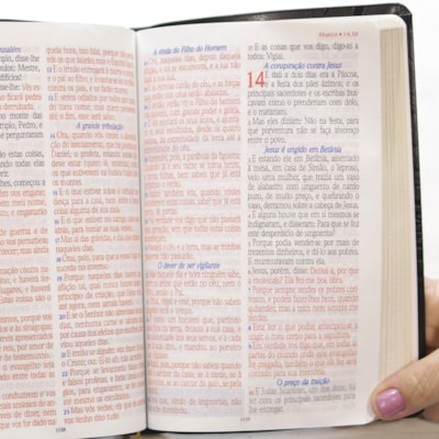 image_2b63e59c-7d74-423e-b196-af6c70a9e8d6