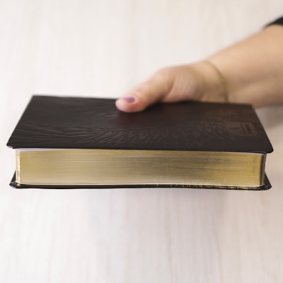 image_b3f82dab-eb99-480b-871d-e1ce1820b794