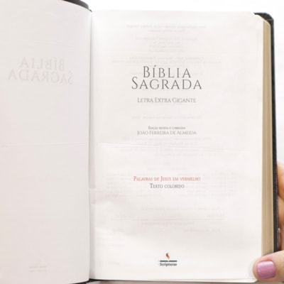 image_3a1bd972-dddc-4b63-b912-2e7b0c8c688f