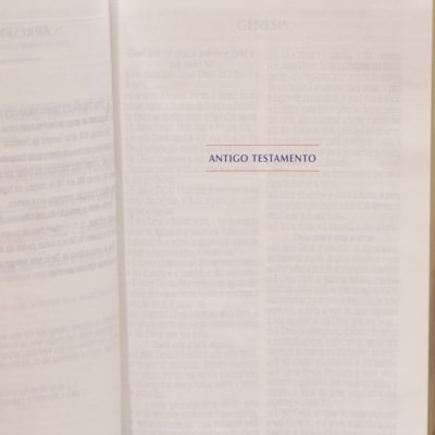 image_c0b84044-3ecb-402d-b2d2-3abeb112a99f