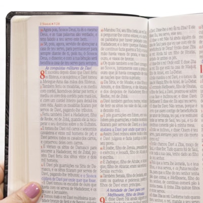 image_410ed95a-214b-4c3f-9346-536d721350ea