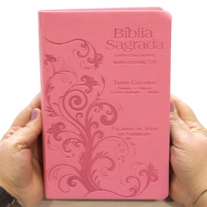 Segunda imagem do produto Bíblia Sagrada Harpa Celestial 774 | ERC | Letra Extra Gigante | Capa Rosa Arabesco