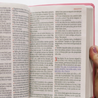 image_af2fc529-894a-43a5-ad21-85bc6baac0db