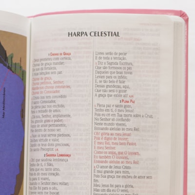 image_d9e405a8-4b8f-4d22-b581-ea9210886210