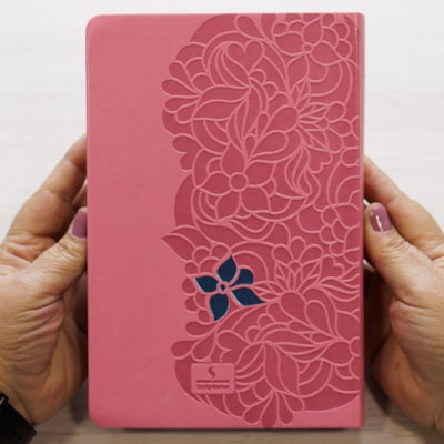 image_b21a75e1-7637-4d78-abe4-231529c764ac