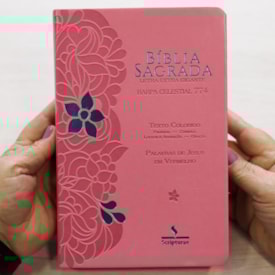 Segunda imagem do produto Bíblia Sagrada Harpa Celestial 774 | ERC | Letra Extra Gigante | Capa Rosa Flor Azul