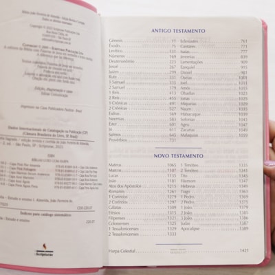 image_8a35f0c6-d9f1-4825-9e1c-58d434e06899