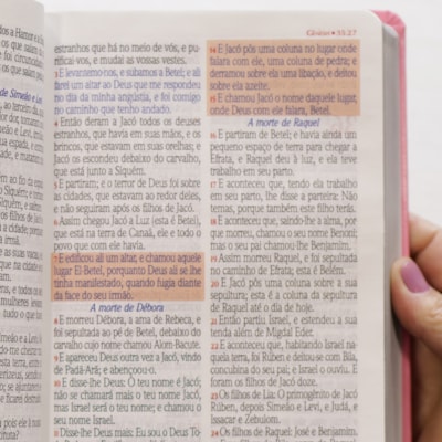 image_3fd61a67-2814-4664-9063-3158aa8c2810