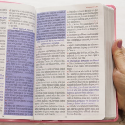 image_03f8fd96-507d-463e-bd0a-7a713e32403c