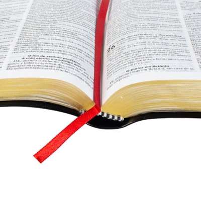 image_3cedb1f6-b3b0-4bf3-89a9-7ea10874444f