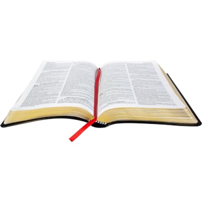 image_5a63ee81-7d68-4c3b-aeda-bd71d5ec988c