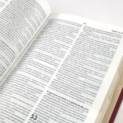 image_b97901eb-af78-4842-b7ea-4dbd18315f2b