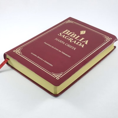 image_3860c462-4887-4437-bc91-e77bef825173