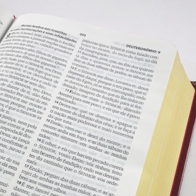 image_ff4ce777-3011-42b6-92a0-035833bbcc73