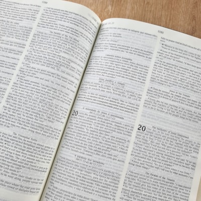 image_2c1a812d-d3e8-4165-a5f6-326531c887bb