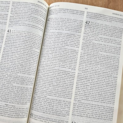 image_210417a4-1152-4689-8f68-d2c5e8c0874c