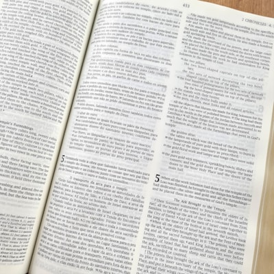 image_256d0d51-e214-4ae2-8000-8d3fc0d1298c