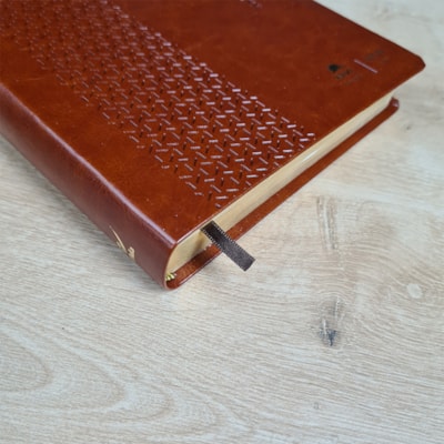 image_74b486cb-eded-4b34-9892-f6a73661ce79