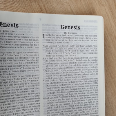 image_336b803a-b9dd-4772-83d0-f118f3f13b07