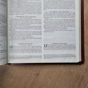 Bíblia Sagrada Holy Bible | Português e Inglês | NVI |  Letra Normal | Capa Luxo Marrom