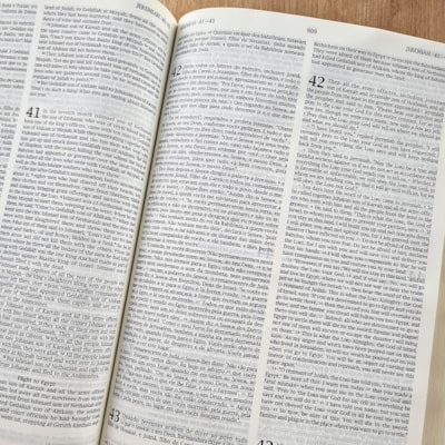 image_52d24537-acf5-417b-93aa-fe6b5c2bcbcd