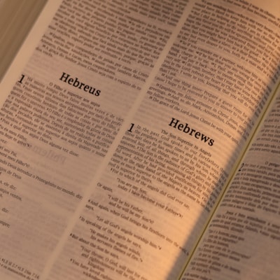 image_11c30415-c71a-46c4-a894-1b3037315b1c