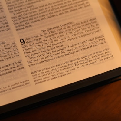 image_5e0620d8-0cc5-4461-9f43-f3dac8a05f4b