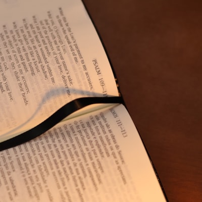 image_c7ba3bd6-a0af-48ed-84e5-32311072241e