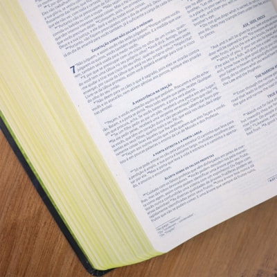 image_a95ccaad-fa76-4ad7-9a7d-51aa222c76c4