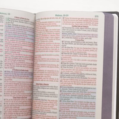 image_8ed5491a-fb3e-42eb-8e2d-2584cc9bb97b